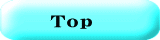 Ｔｏｐ